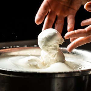 Come conservare la mozzarella: le cose da sapere